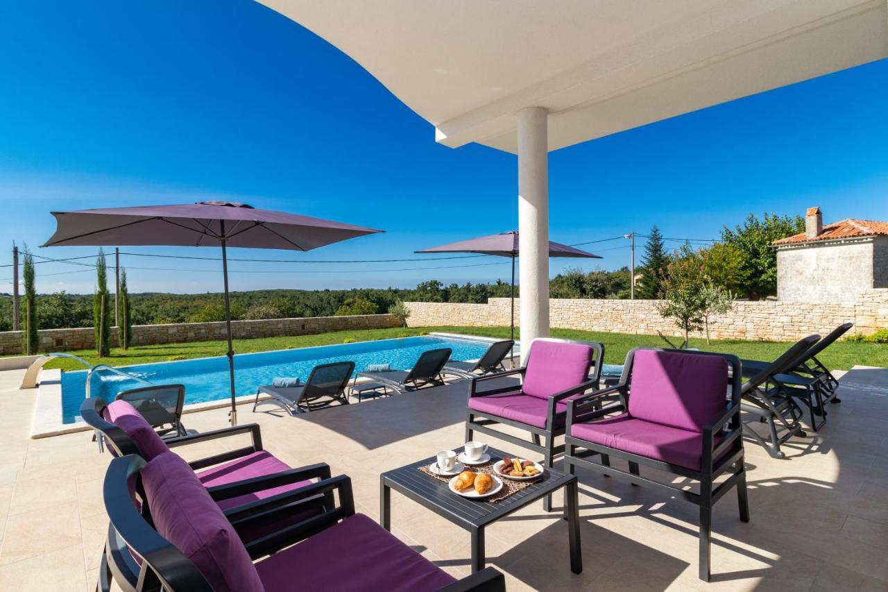 Villa Eleonora, Luxury Villa In Visnjan, Zuzici, Near Porec מראה חיצוני תמונה